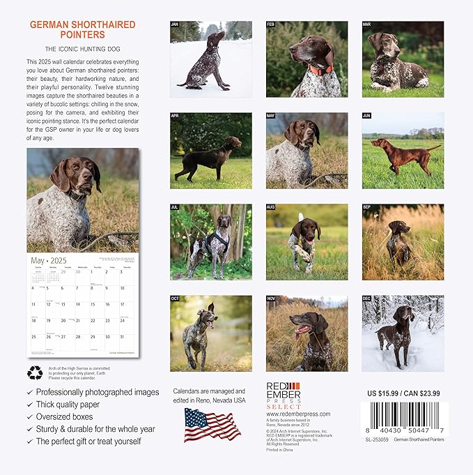 RED EMBER Select - German Shorthaired Pointers 2025 Wall Calendar 12 Month | 12" x 24" Open | Thick & Sturdy Paper | Giftable | Calendar 2025