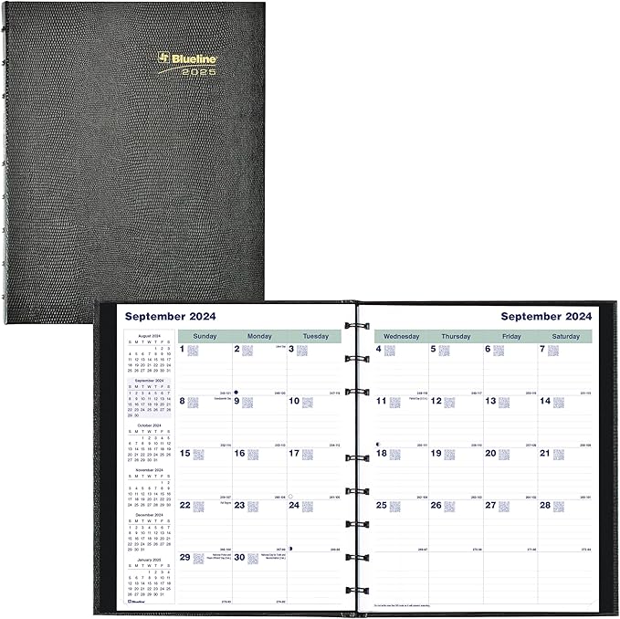 Blueline® 2025 Plan & Link™ CoilPro™ Monthly Planner, 16 Months, September 2024 to December 2025, Twin-Wire Binding, 9.25" x 7.25", Black, English (C1200C.81T-25)