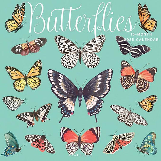 Graphique 2025 Butterflies Wall Calendar | 12” x 12” | Thick Paper | Home & Office Organizer | Large Monthly Grid | 3 Languages & Marked Holidays | 4 Month Preview Page for 2026