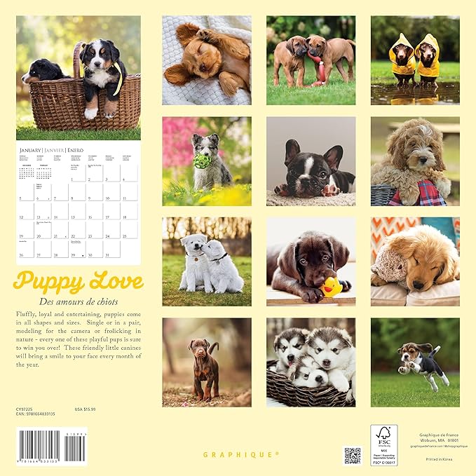 Graphique 2025 Puppy Love Wall Calendar | 12” x 12” | Thick Paper | Home & Office Organizer | Large Monthly Grid | 3 Languages & Marked Holidays | 4 Month Preview Page for 2026