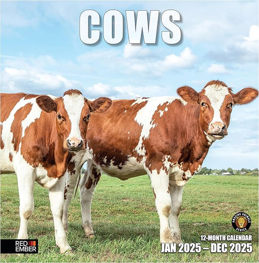 RED EMBER Cows 2025 Wall Calendar 12 Month | 12" x 24" Open | Thick & Sturdy Paper | Giftable | Calendar 2025
