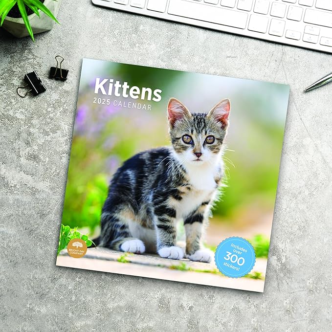 2025 Kittens Monthly Wall Calendar by Bright Day, Includes Over 300 Stickers, 12 x 12 Inch