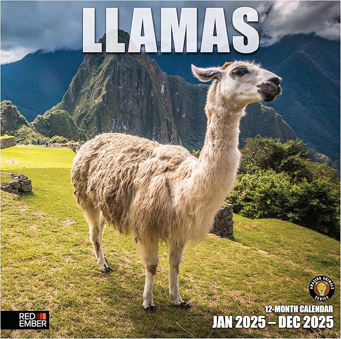 RED EMBER Llamas 2025 Wall Calendar 12 Month | 12" x 24" Open | Thick & Sturdy Paper | Giftable | Calendar 2025