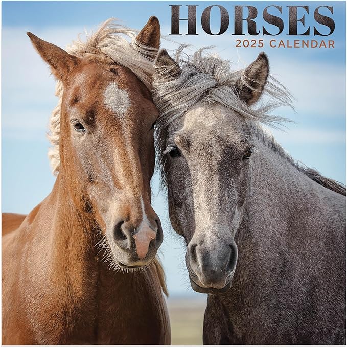 TF PUBLISHING 2025 Horses Mini Calendar - Large Grids for Appointments and Scheduling - Vertical Monthly Wall Calendar 2025 - Home and Office Organization - Premium Thick Gloss Paper - 7"x7"