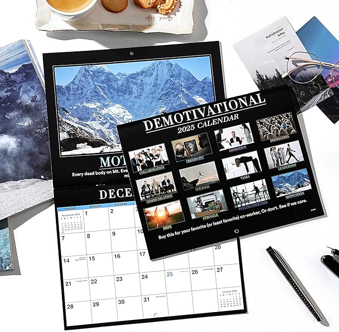 2025 Calendar - 12 Monthly Square Wall Calendar 2025, January - December 2025, 11'' x 9'', 2025 Demotivational Calendar, 2025 Calendar 12 Month for Demotivational Funny Silly Gift