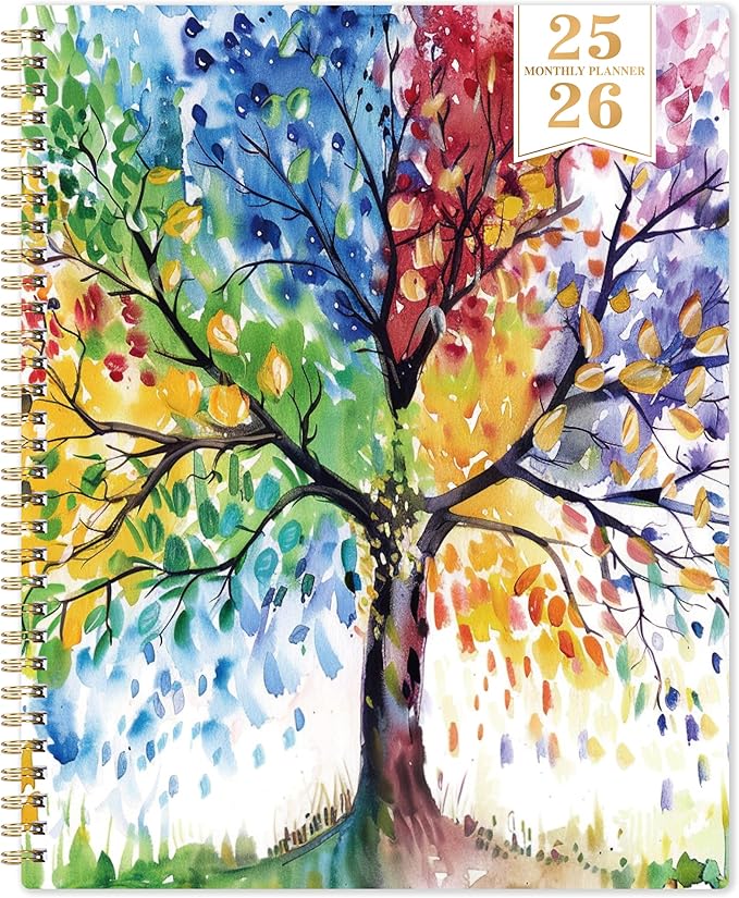 2025-2026 Monthly Planner - Monthly Planner from January 2025 - December 2026, 2025-2026 Monthly Planner 8.5'' x 11'', 2025 Planner with Double-Side Pocket, Monthly Tabs