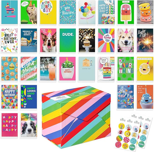 Recycled Paper Greetings 30-Count Funny Birthday Card Assortment with Envelopes, Seals, and Storage Box by Vicky Barone