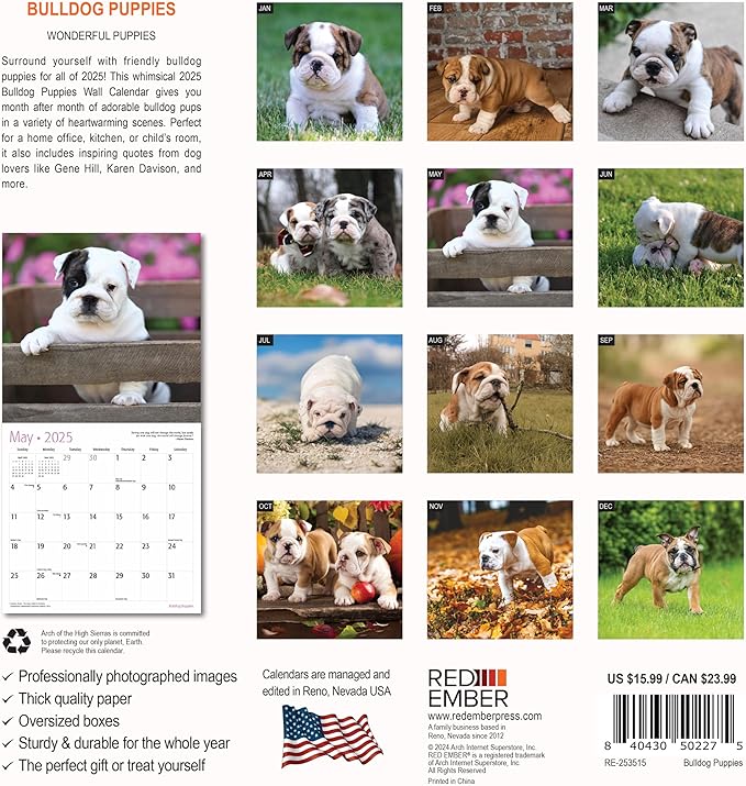 RED EMBER Bulldog Puppies 2025 Wall Calendar 12 Month | 12" x 24" Open | Thick & Sturdy Paper | Giftable | Calendar 2025