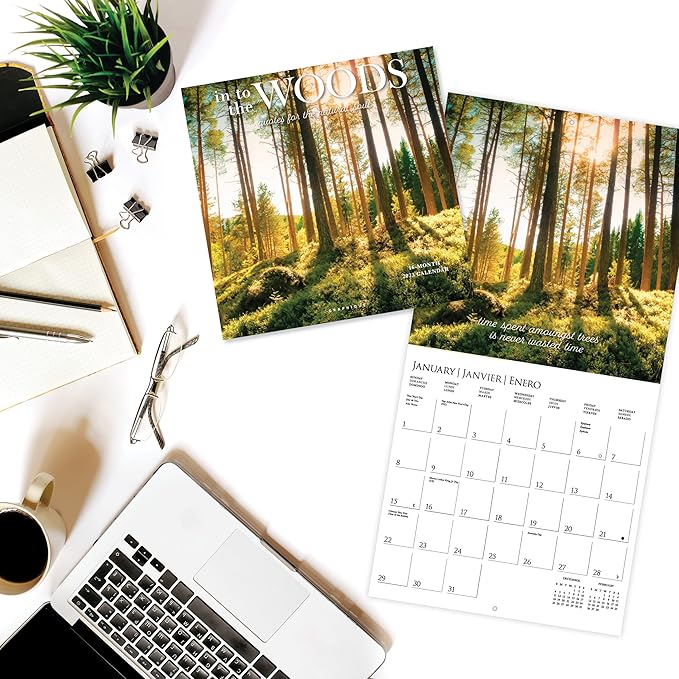 Graphique 2023 Wall Calendar Into the Woods | 12” x 12” | Thick Paper | Home & Office Organizer | Large Monthly Grid | 3 Languages & Marked Holidays | 4 Month Preview Page for 2024