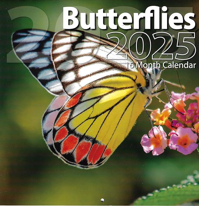 Bachmann Press 2025 Butterflies Full Size Wall Calendar for Planning, Scheduling, and Organizing