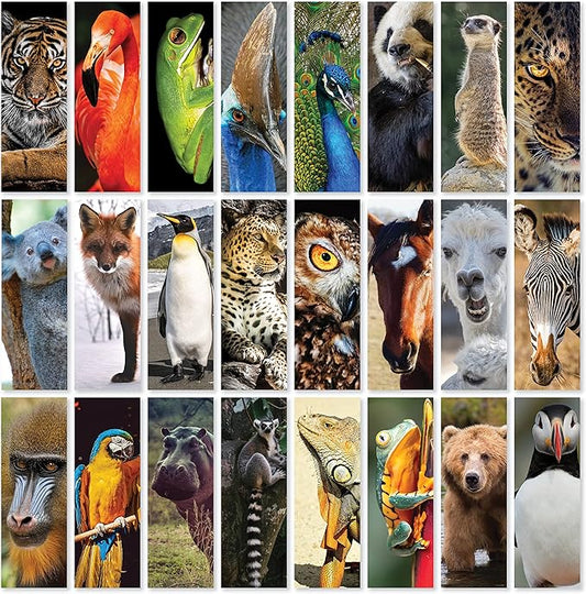 JBH Creations Around The World Animal Bookmarks - Pack of 48